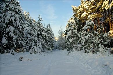 停售6年的PS3再次获得固件更新 提高了系统性能