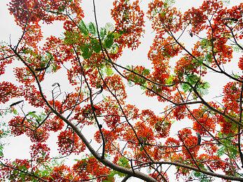 《暗黑破坏神4：憎恨之躯》Steam预购开启 标准版278元